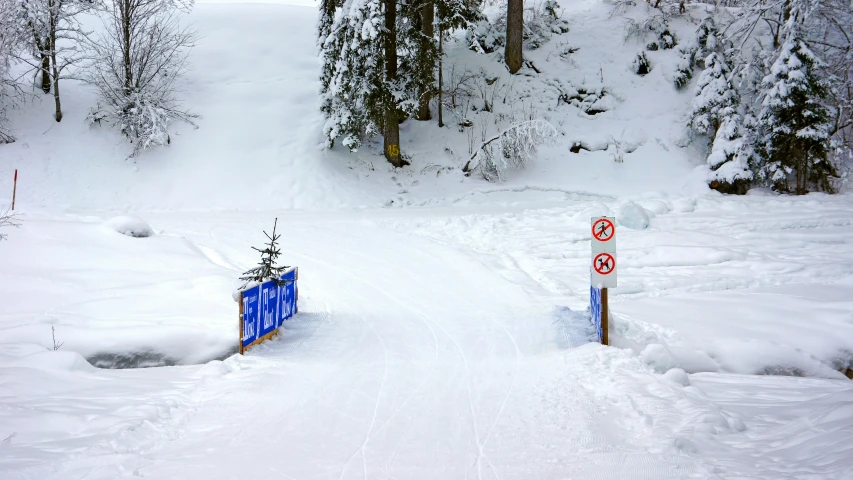 two blue road signs on snow covered ground