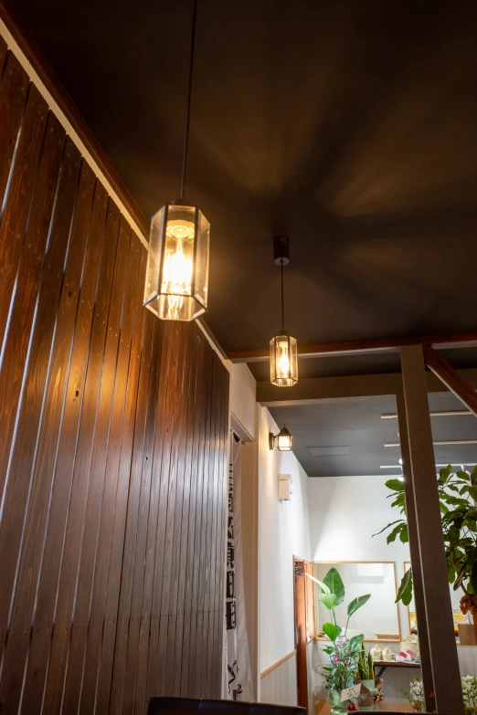 a close up of two lights hanging from a light fixture