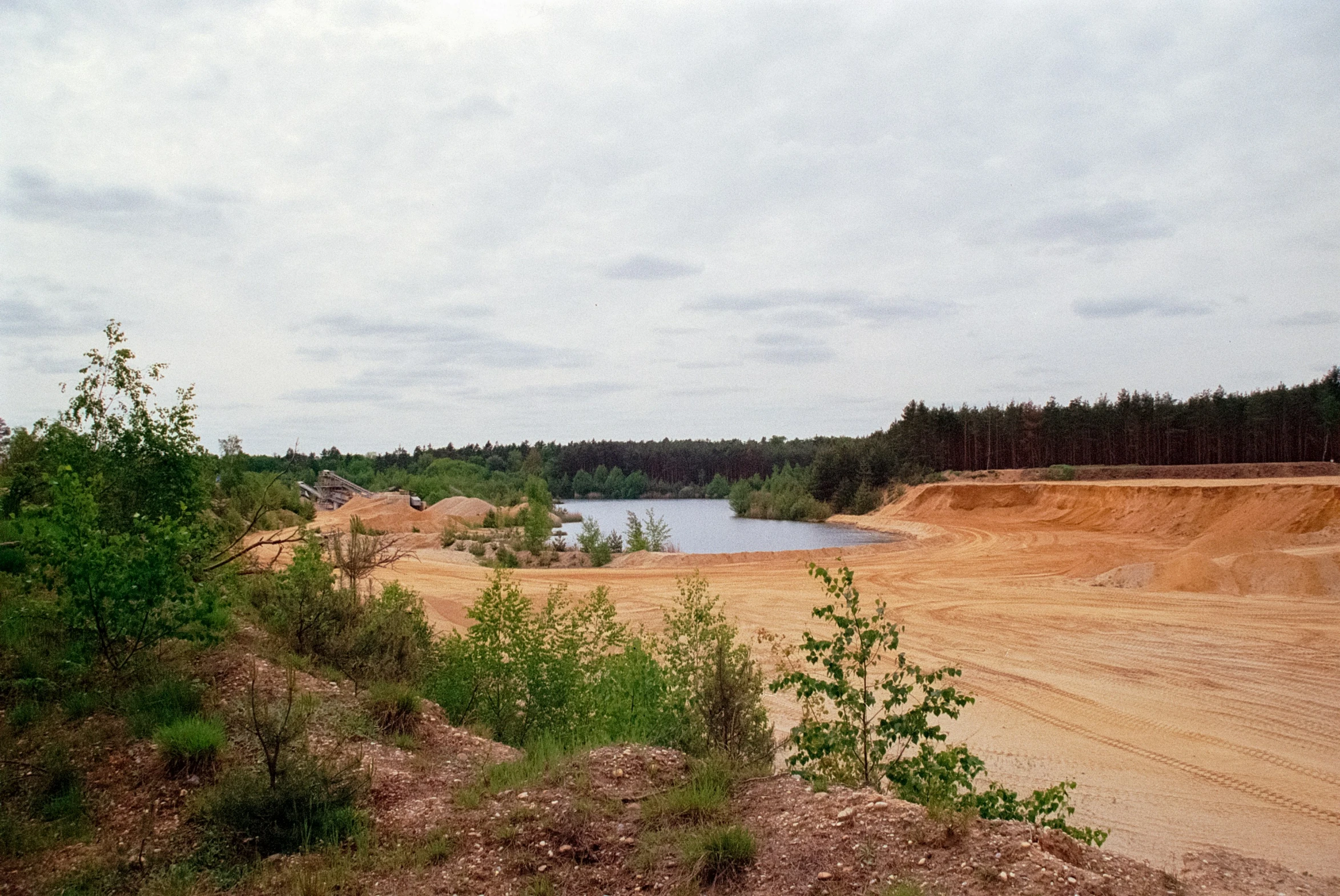 dirt road near some trees with a lake