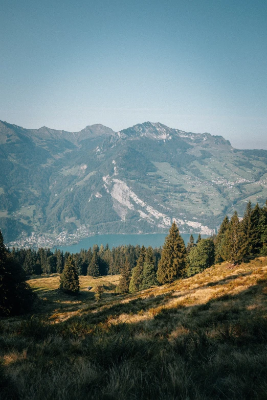 a large mountain view with trees in the foreground