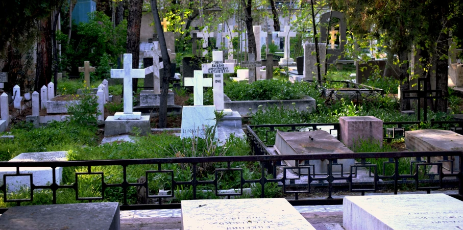 some white crosses sitting on headstones surrounded by green plants