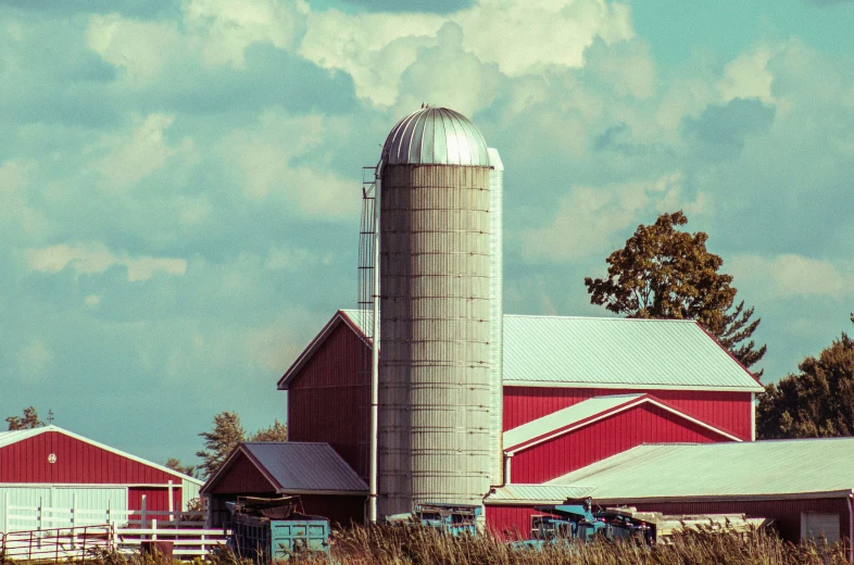 red and white barn and farm buildings near tall grass