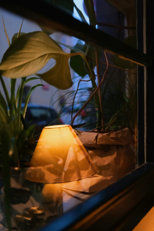 a candle and some houseplants are placed next to the window