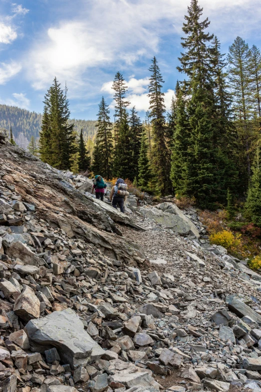 people walking on a rocky trail surrounded by pine trees