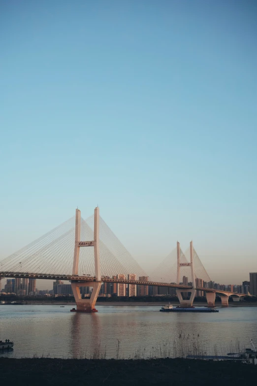 the two bridges have many cables coming up