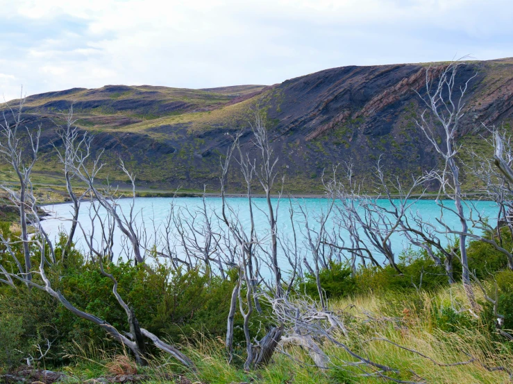 a body of water near some trees and mountains