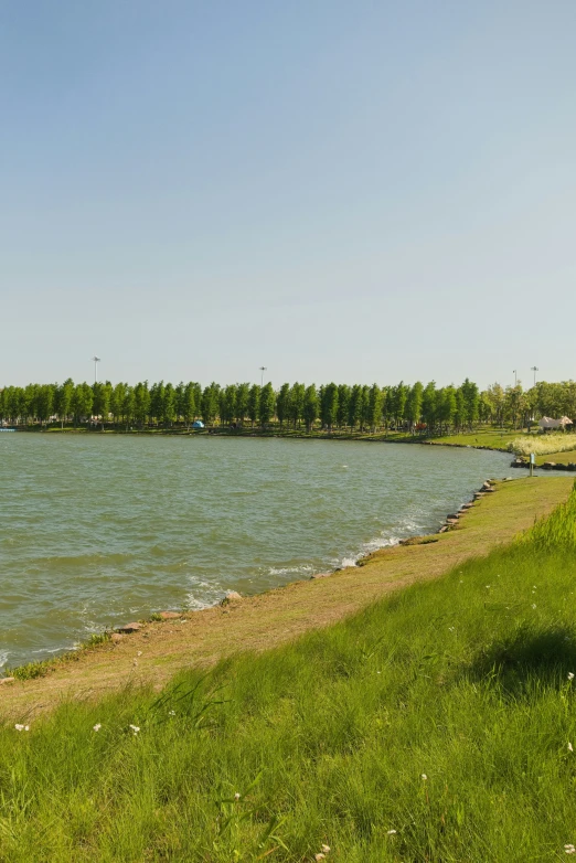 a lake with a group of trees lined on the shore