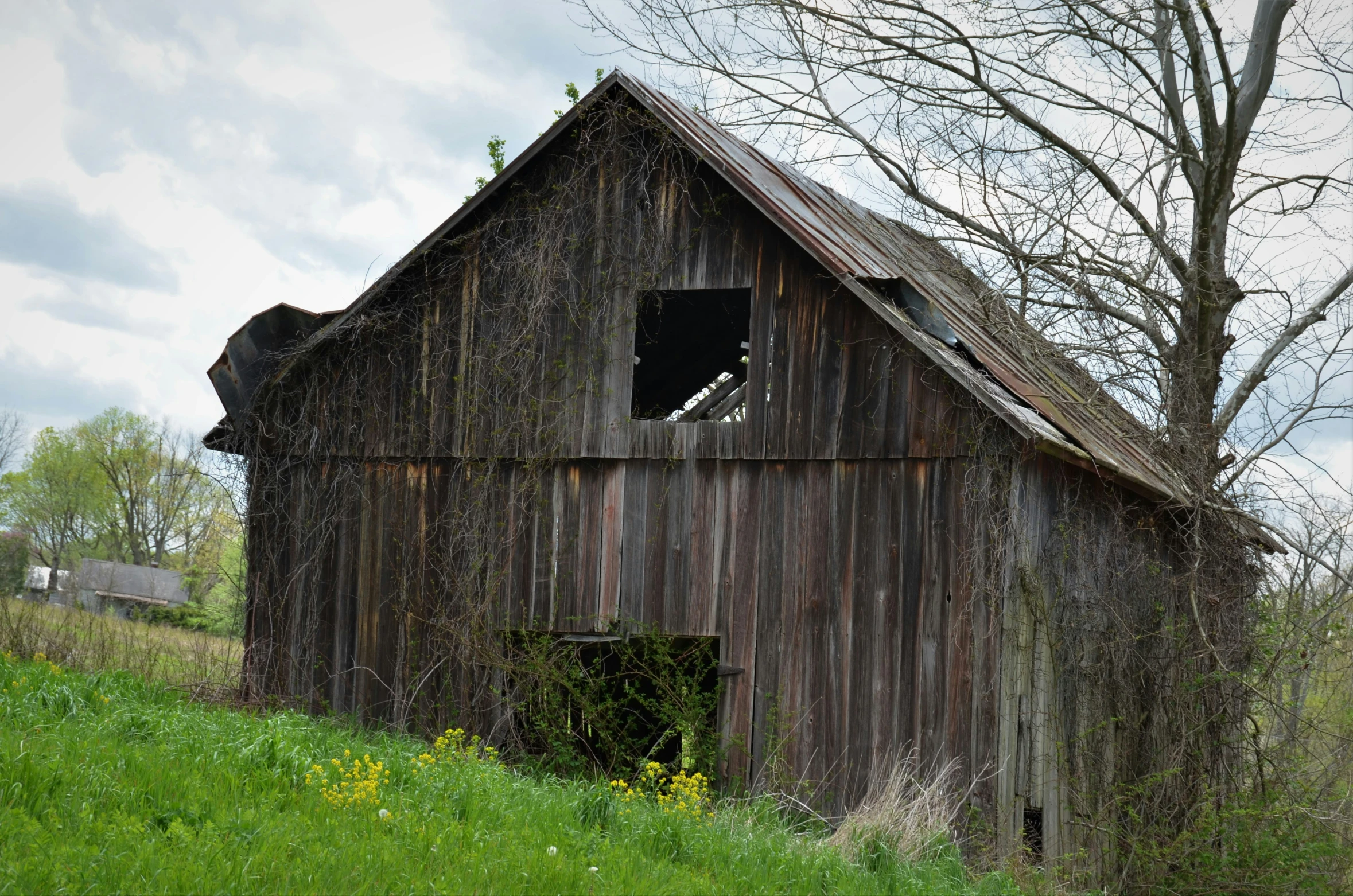 the old building is very large and needs to be gutted