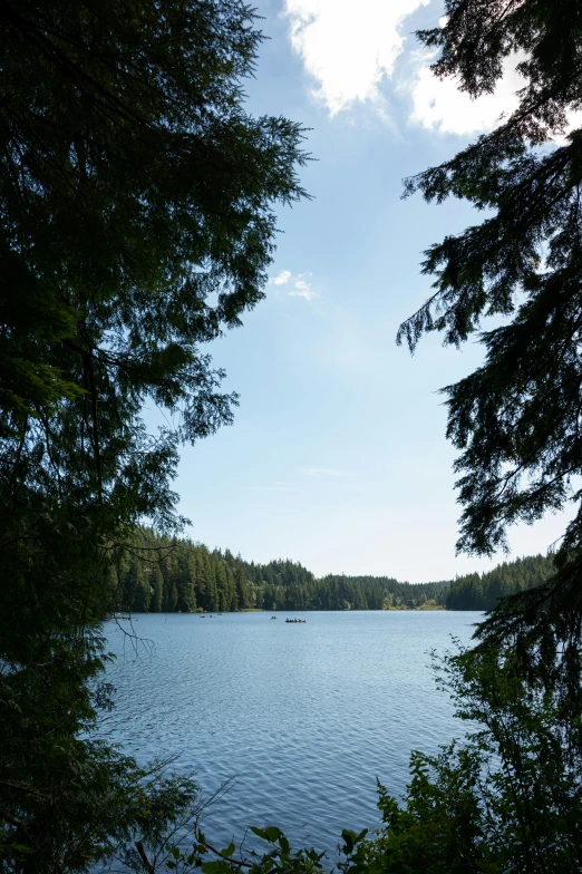 a blue lake surrounded by trees and a blue sky