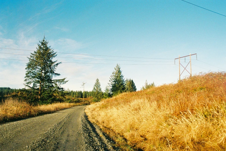 a view from the side of a path that is next to a lush green hillside