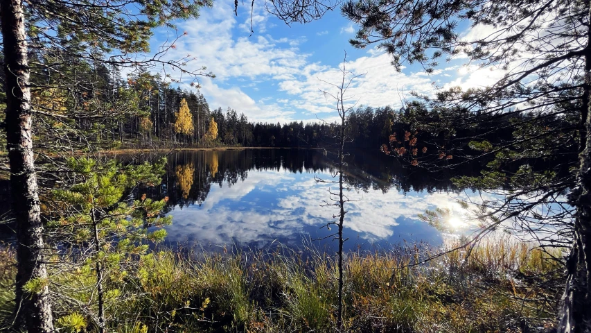 this is a lake surrounded by trees and sky