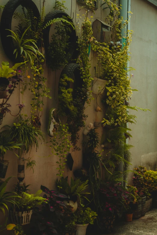 a corner of a garden with various plants and flowers