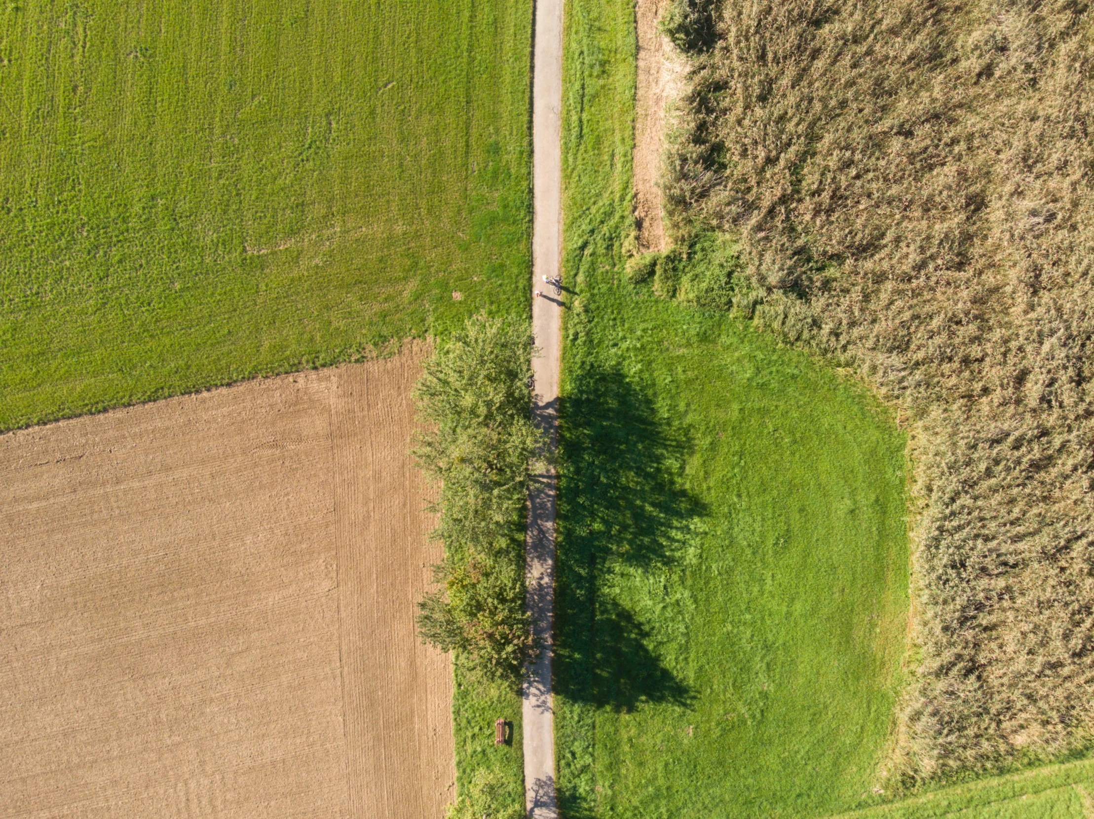 an aerial view of the road between two crops and a tractor