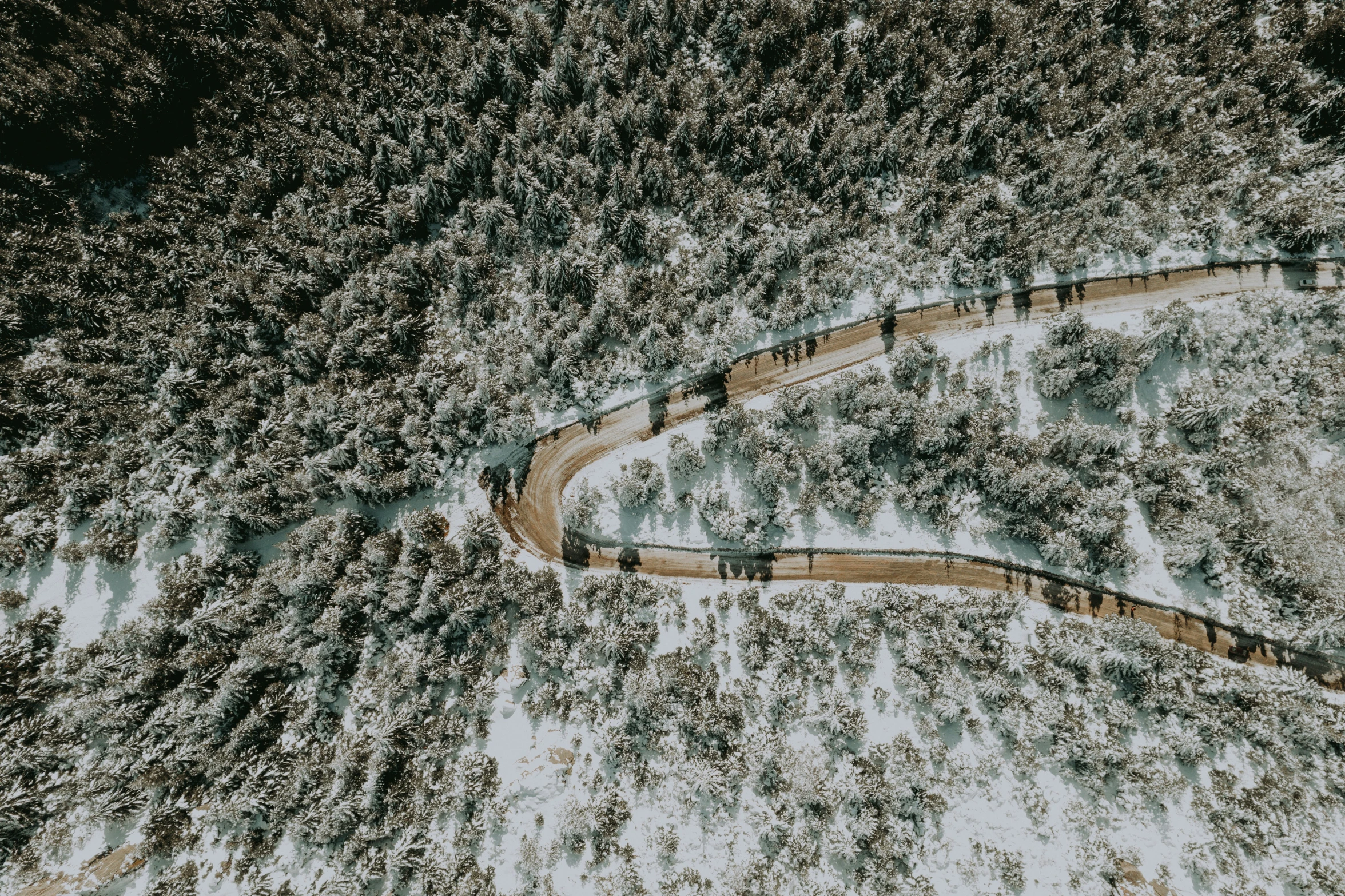 the aerial pograph shows a winding dirt road lined in trees