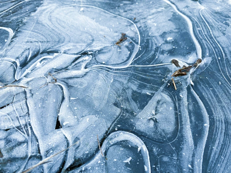 the po shows icy surface with birds sitting on them