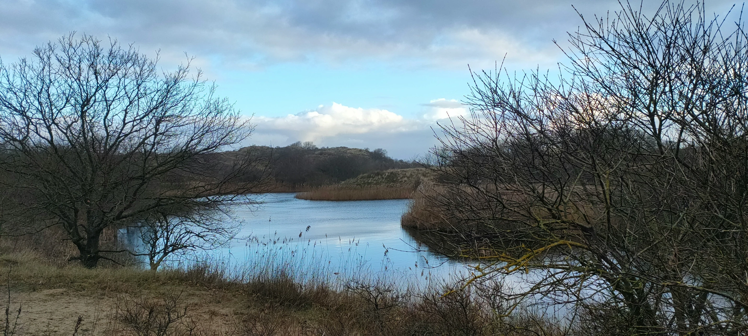 a wide river surrounded by dry trees on either side of the water