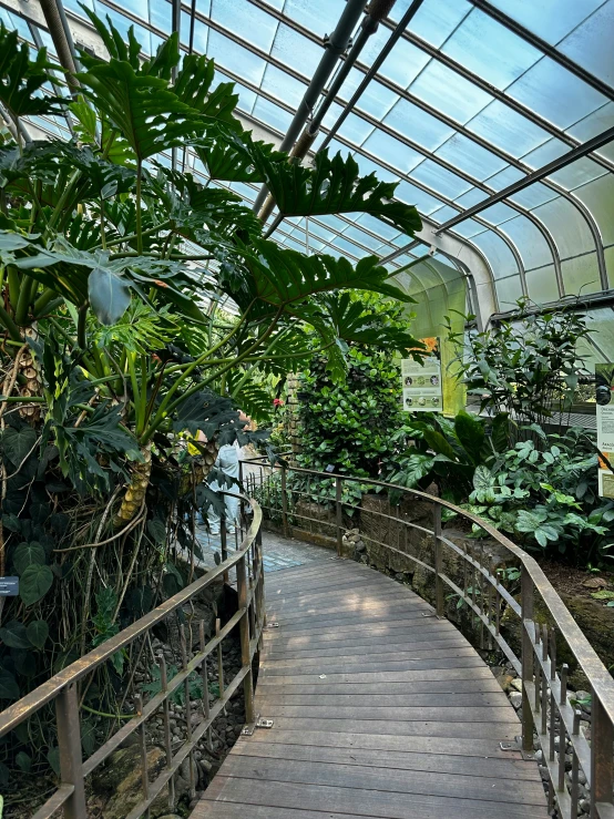 a set of stairs leading to a garden greenhouse