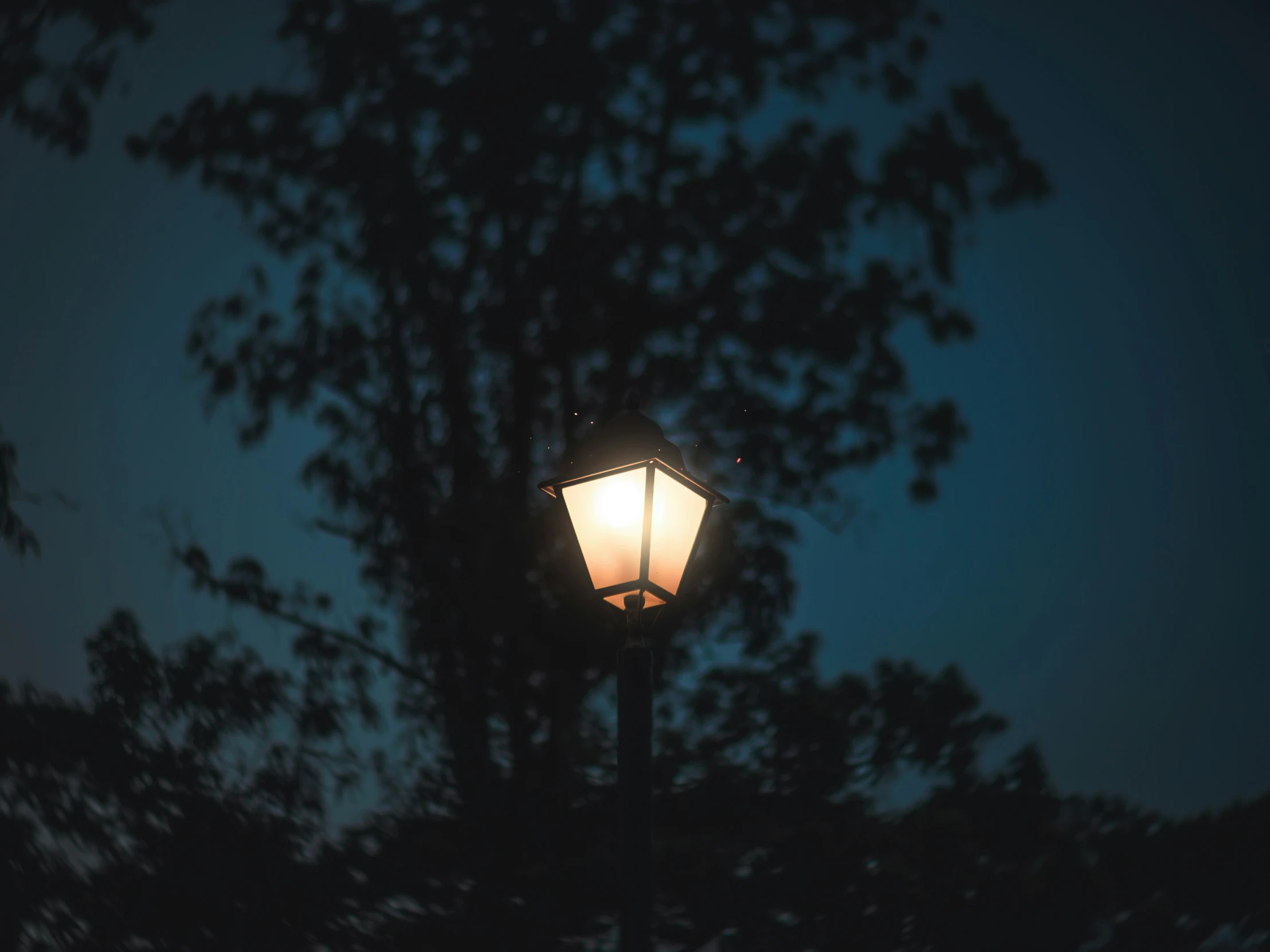 the light is lit in the dark in front of some trees