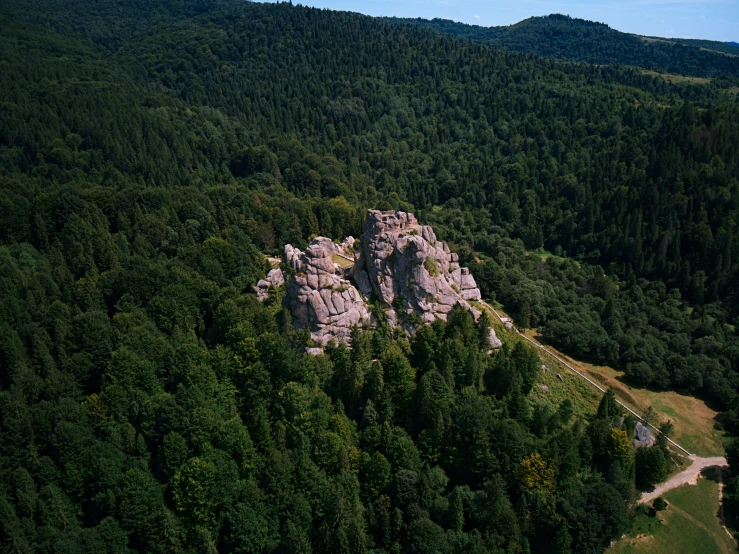 a mountain with some trees and a trail