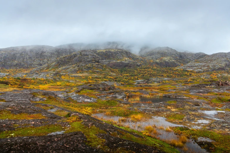 a very tall mountain covered in fog and green