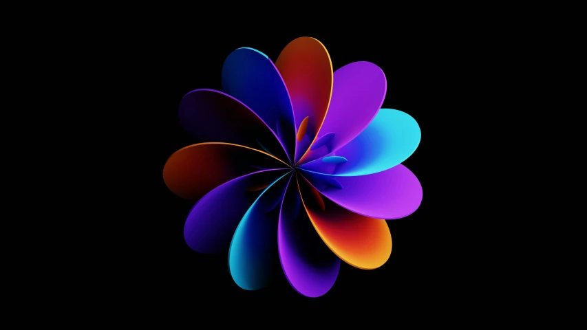 a colorful flower on black is seen in this image