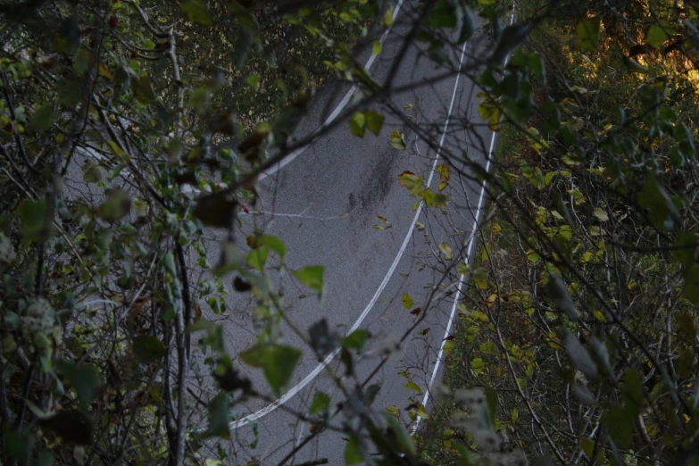 an overhead view of the highway through trees