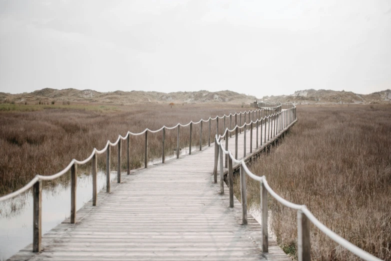 walkway with several posts going through grassy area