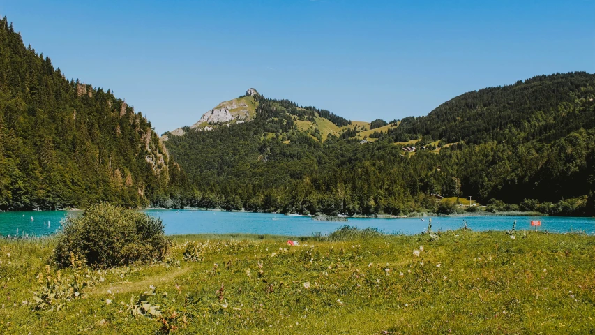 there is a river and some mountains in the distance