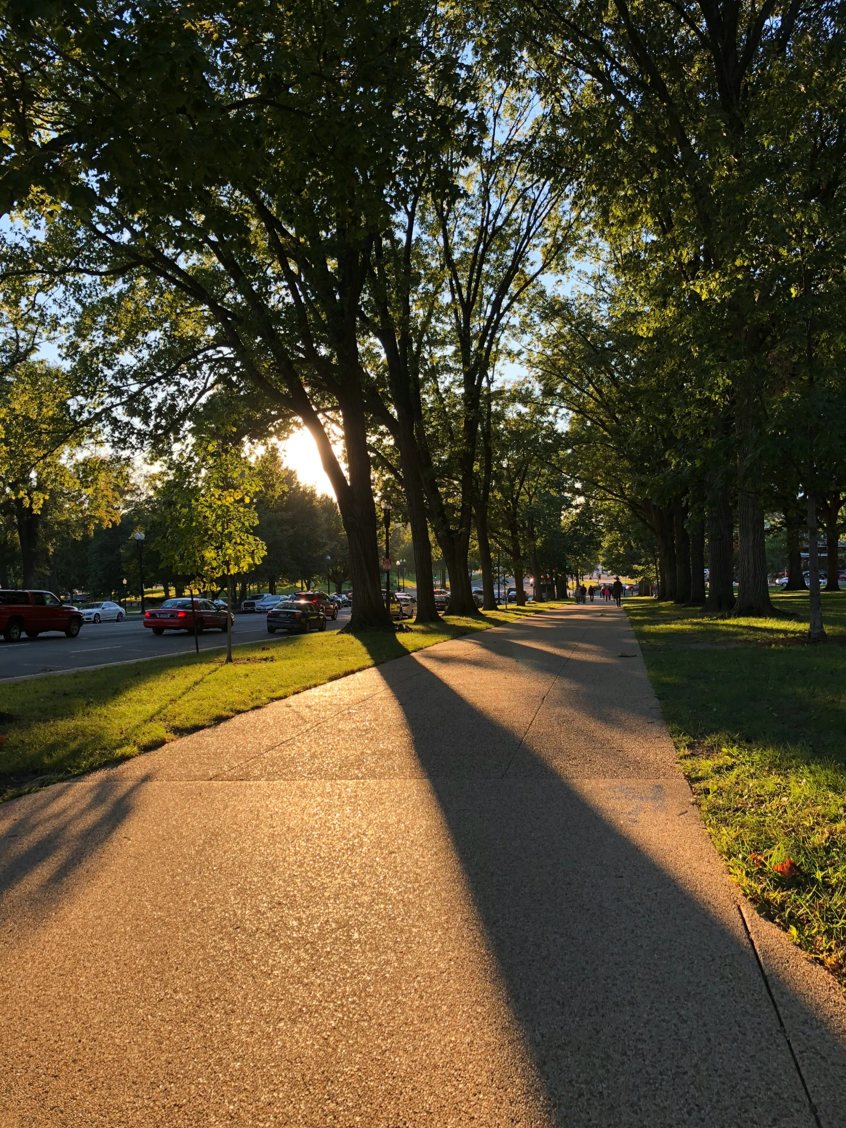 a po of the sun shining in between two trees