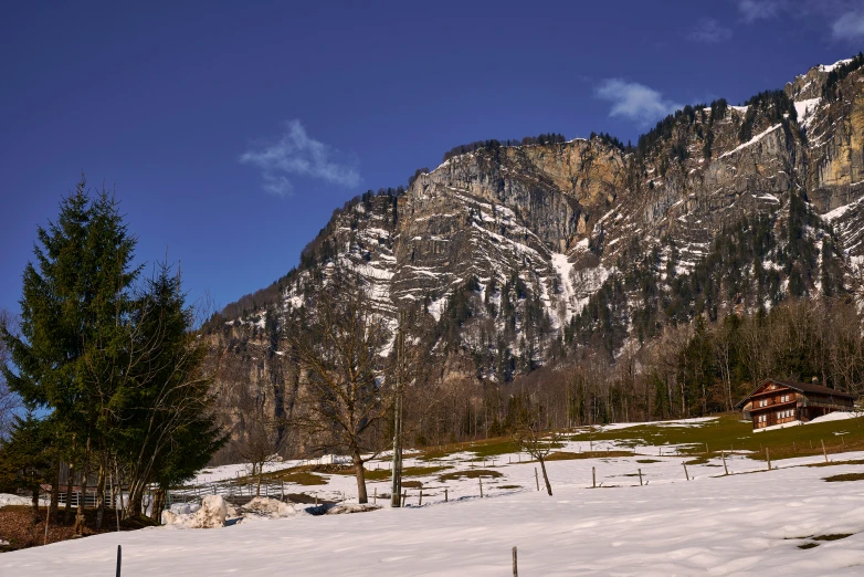 a snow covered hillside with some trees in the background