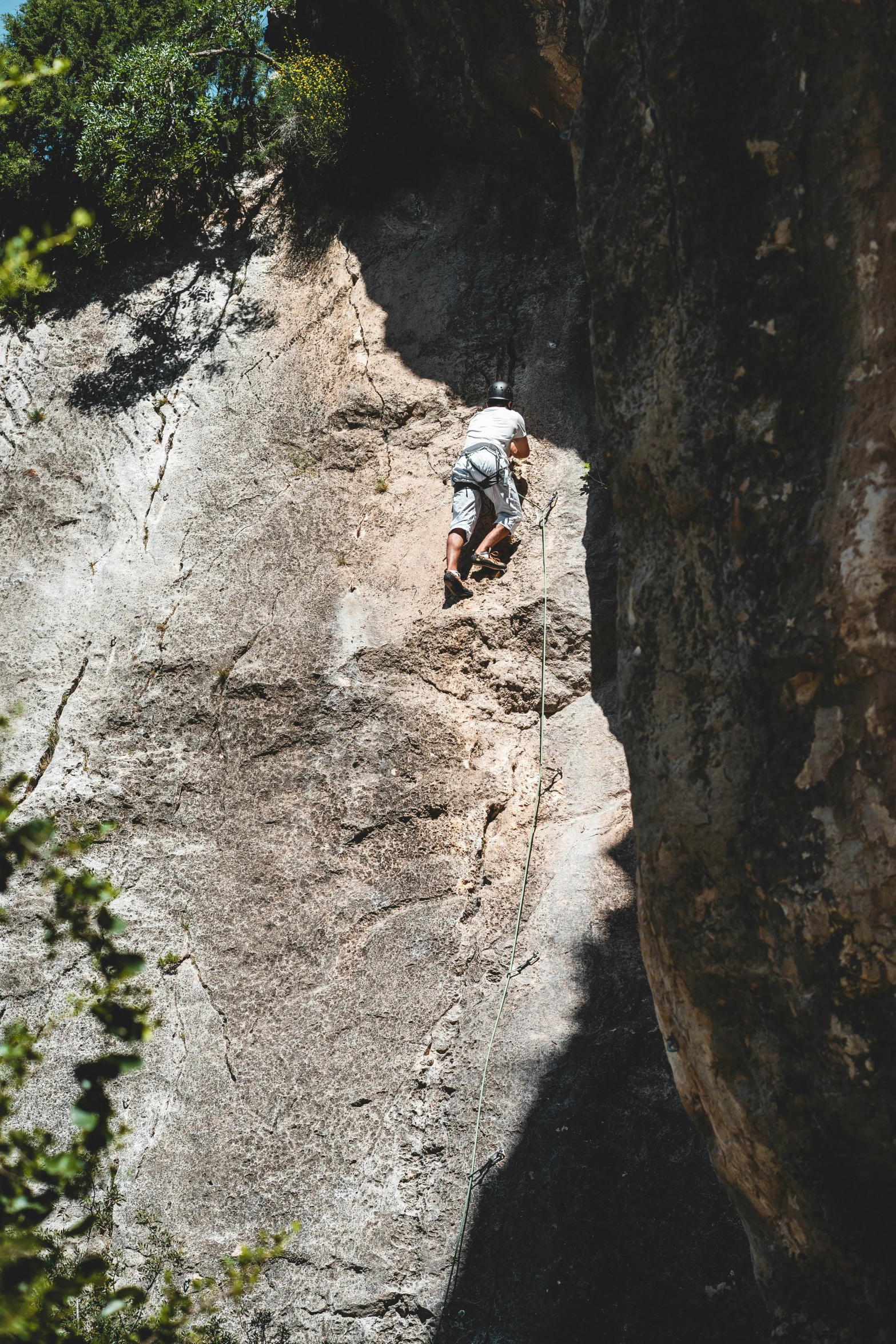 someone climbing up a mountain next to a tree