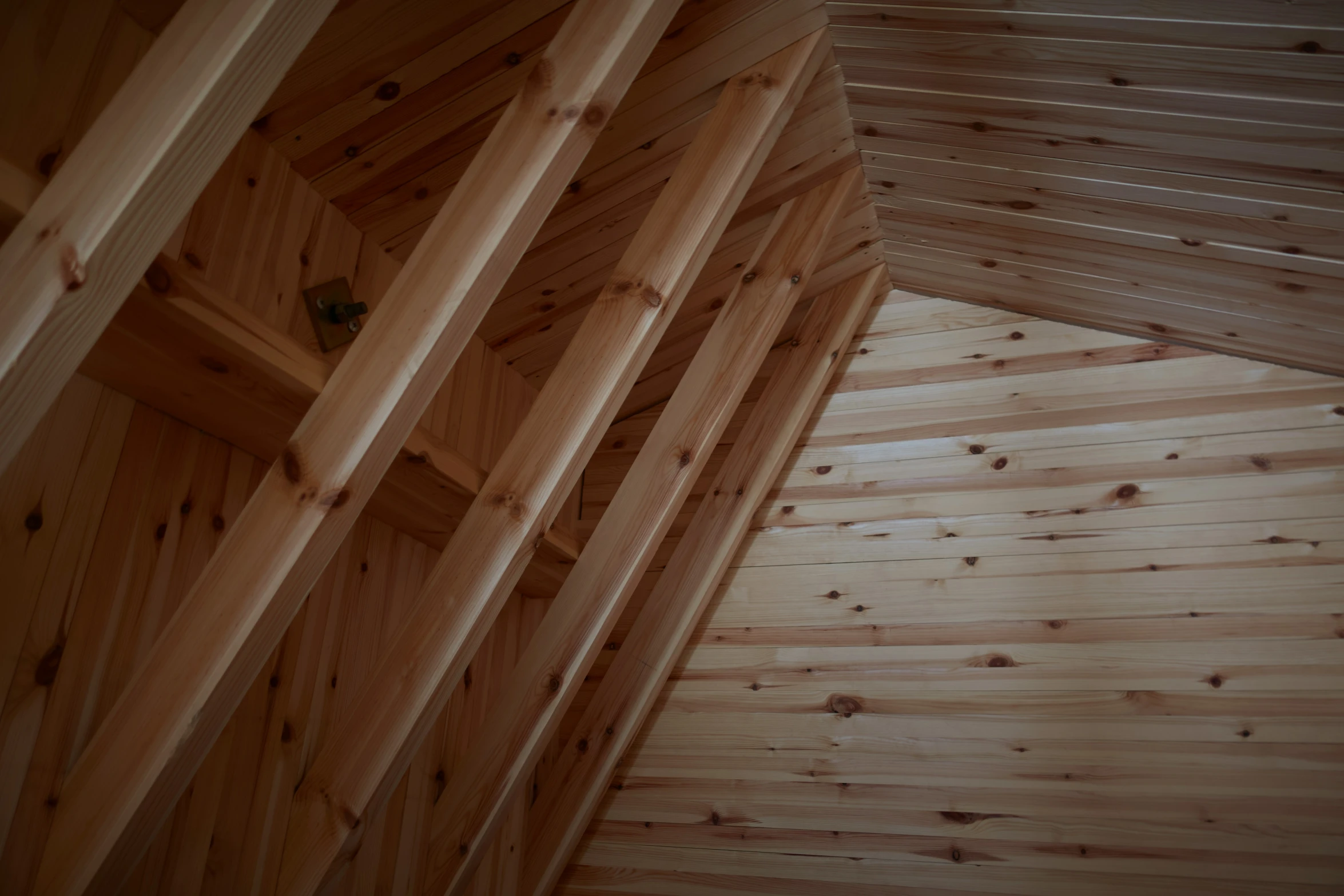 inside view of a structure with wood walls