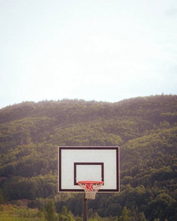 a basketball going through the net in front of trees