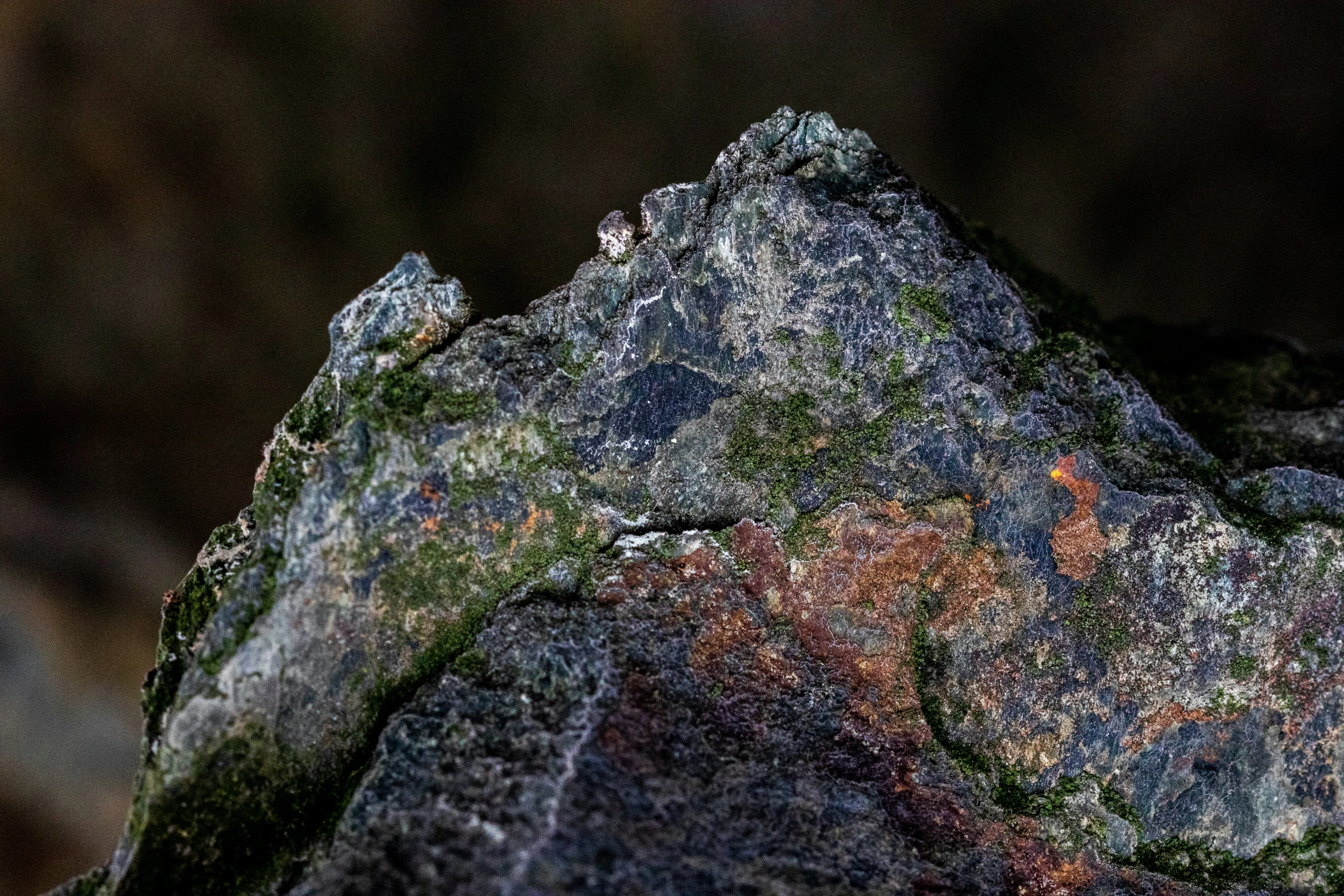 a rock is covered in multicolored moss