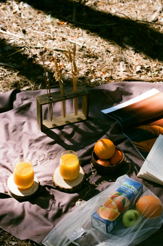 a group of fruits, juice, and utensils sitting on a picnic blanket