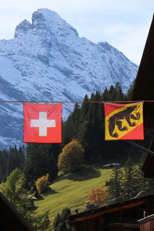 flags in a mountainous area with a mountain in the background