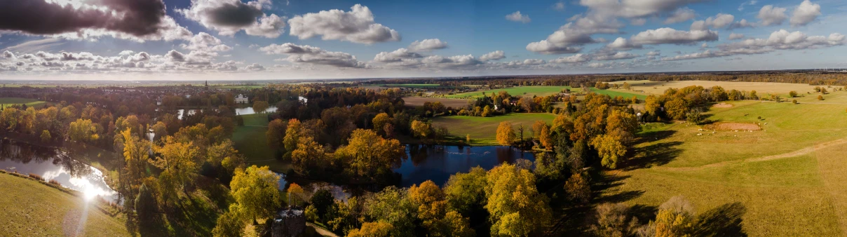 an image of an aerial view of some trees and grass