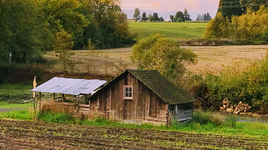 a shed sitting out in a field, with trees and grass around