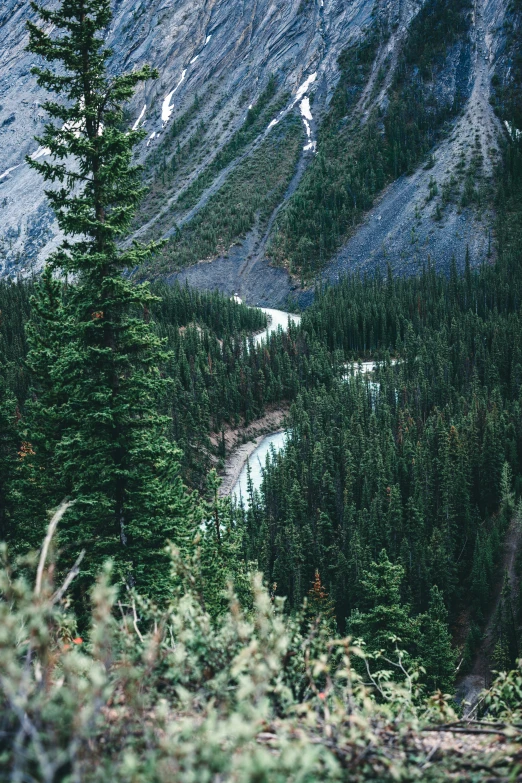 an open landscape with trees, bushes and mountains