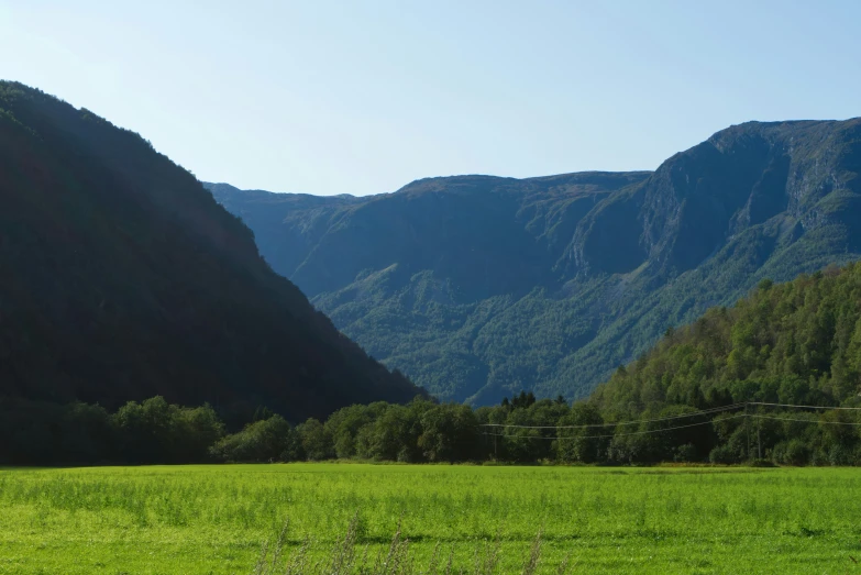 a large field with mountains in the background