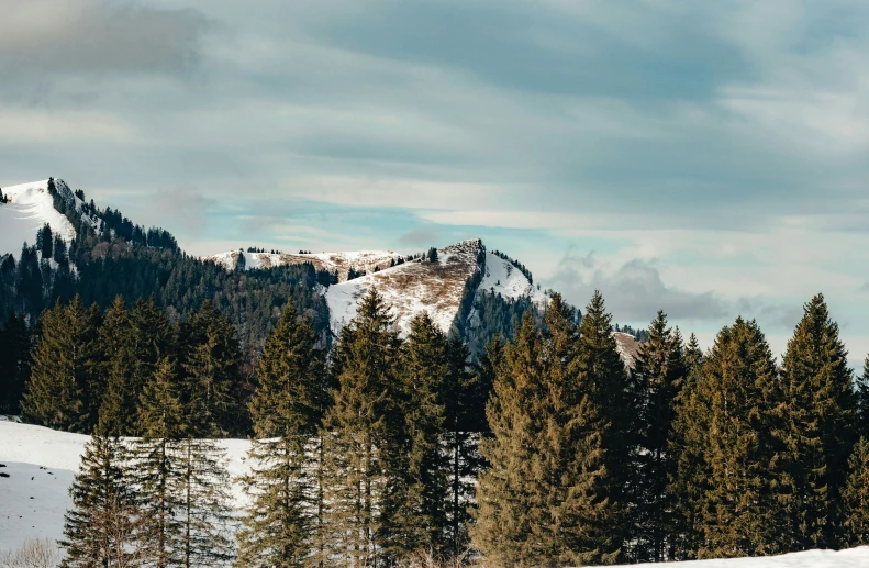 a mountain view with trees in the foreground and snow on it