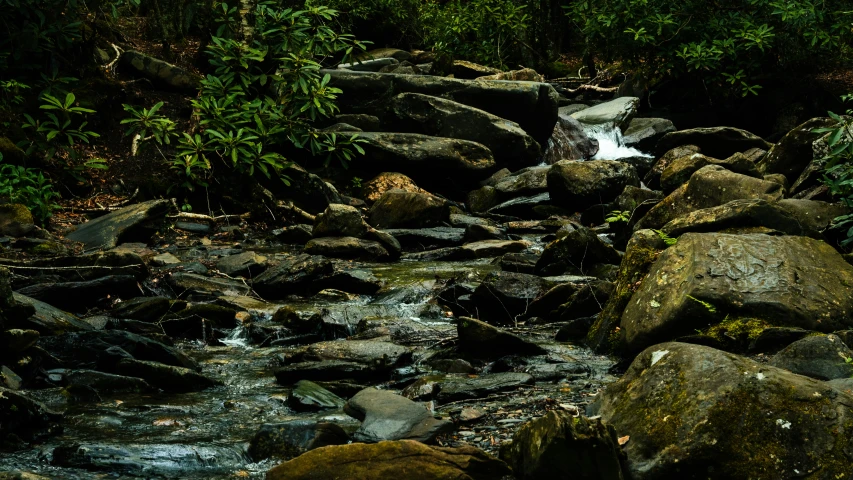 a stream flowing between two boulders in a forest