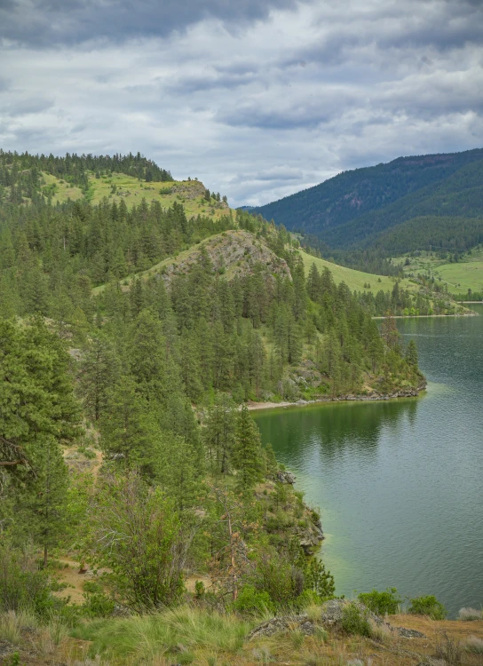 a grassy area in the mountains overlooking a lake