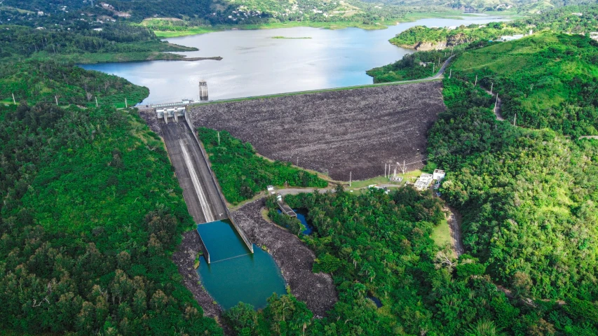 aerial view of a water source and forest