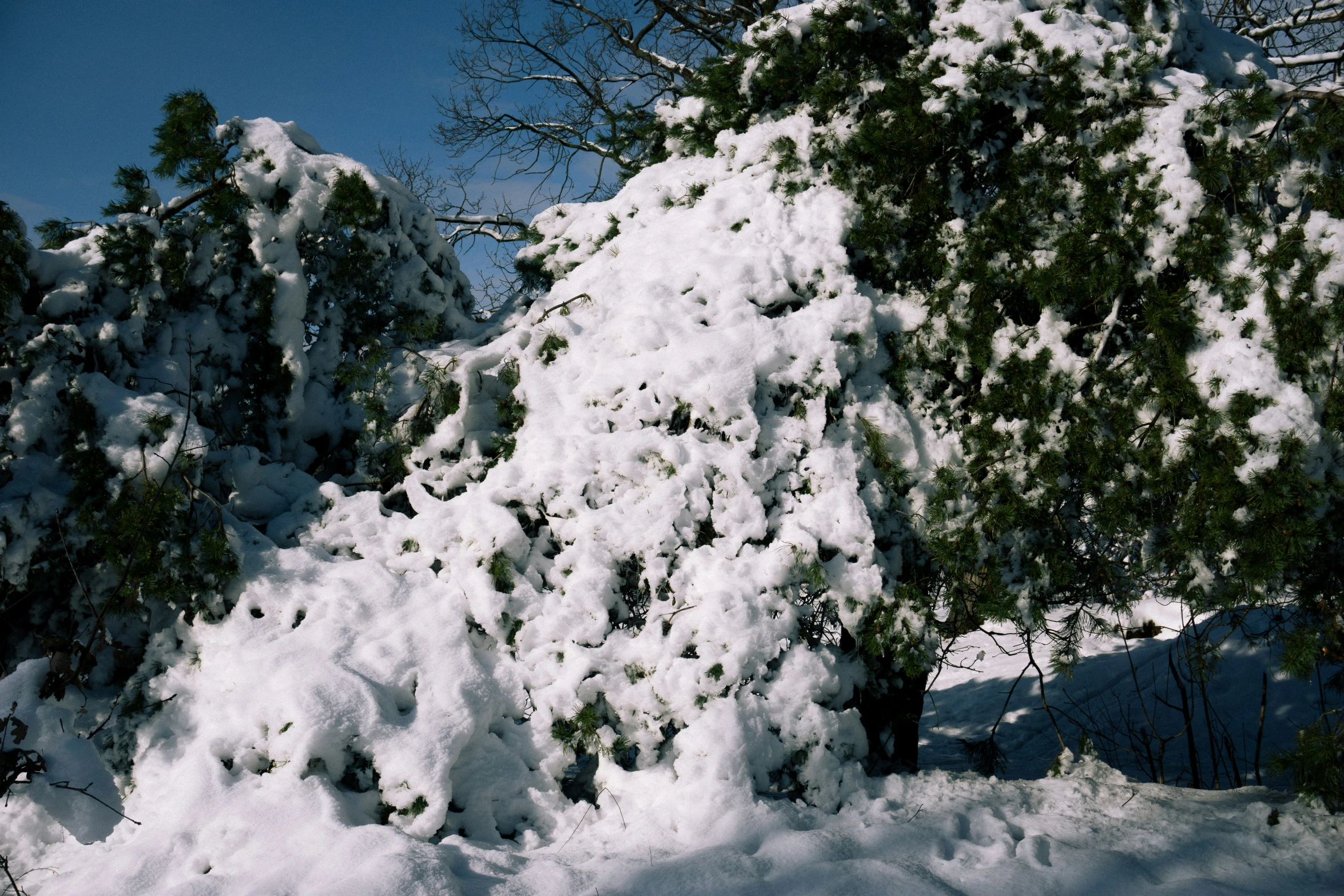 a snowboarder is jumping over a large pile of snow