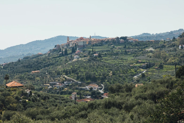 view of hillside with village nestled into the tree line