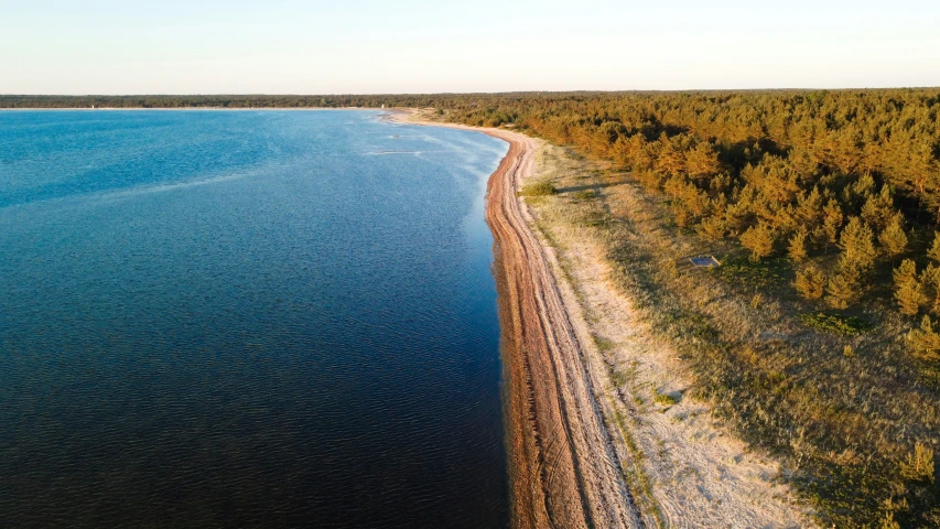 an aerial view of a shoreline near a large body of water