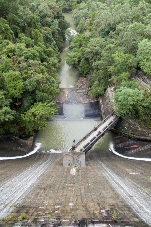 a small river surrounded by some trees and a bridge