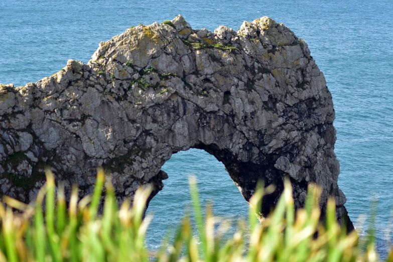 a rock formation with water and grass growing around it