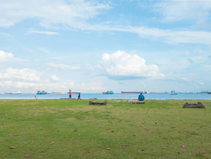 people walking and sitting on grass near a body of water